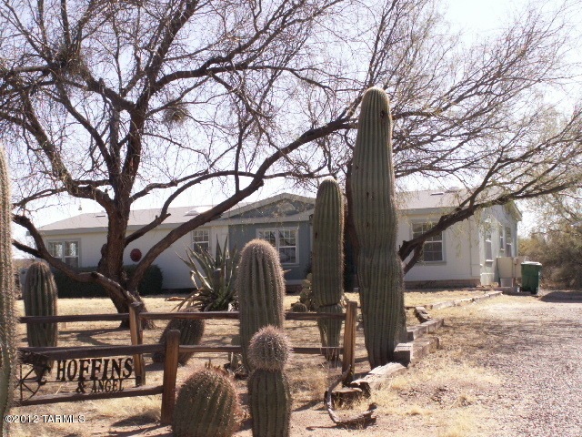 Front Yard