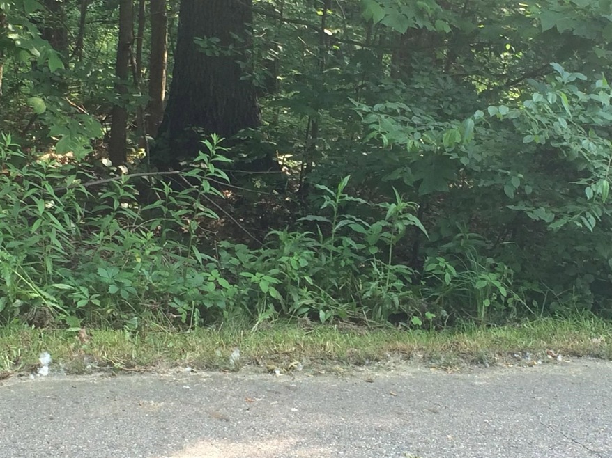 0 N Campbell unit 464059, Laporte, IN 46350 - photo 1