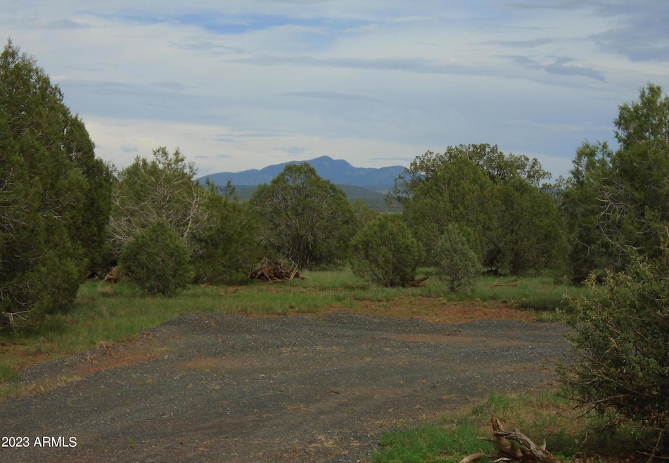 1802 Cumberland Rd, Williams, AZ 86046 - photo 1