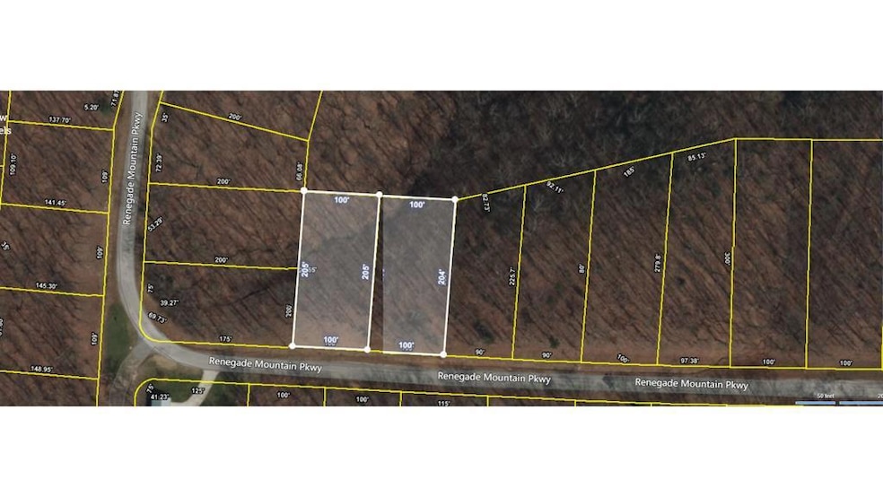 0 Lots 734 & 735 Renegade Pkwy unit 239400, Crab Orchard, TN 37723 - photo 1