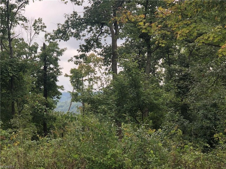 0 Chestnut Ridge Rd unit 4038675, Danville, OH 43014 - photo 1