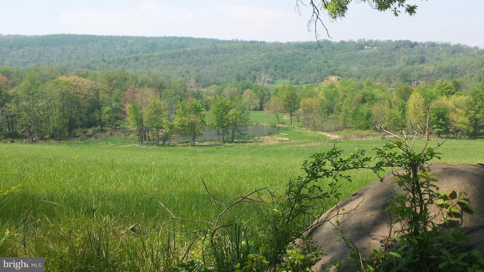 0 Williams Gap Rd, Round Hill, VA 20141 - photo 1