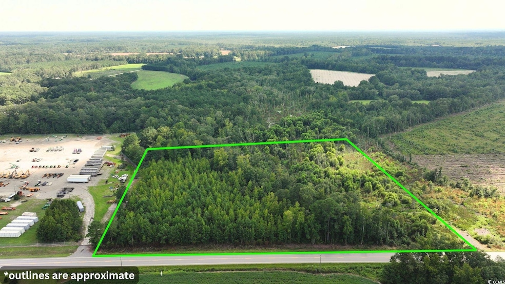0 Highway 521 unit Tract 2, Greeleyville, SC 29056 - photo 1