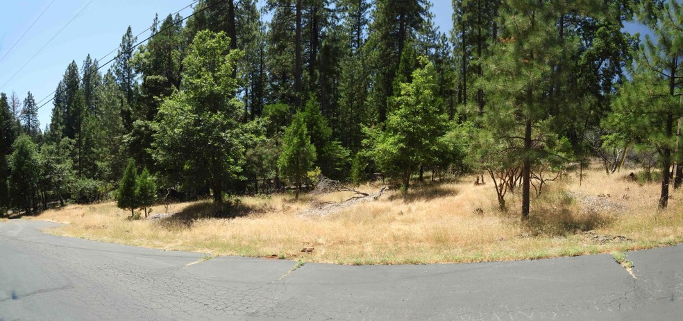 0 Speckled Rd, Pollock Pines, CA 95726 - photo 1