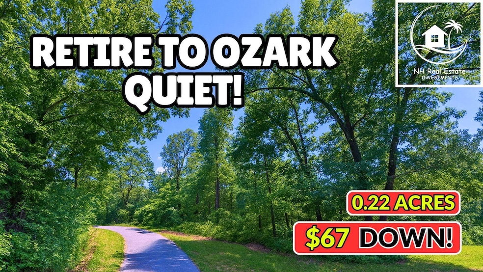 H8HQ+FMH Theodosi unit a Missouri USA, Theodosia, MO 65761 - photo 1