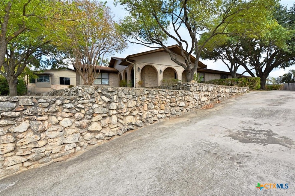 1274 E Common St, New Braunfels, TX 78130 - photo 1