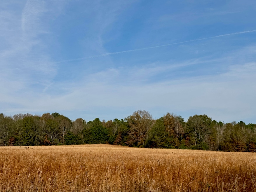 0001 Pisgah Bottom Rd, Canton, MS 39046 - photo 1