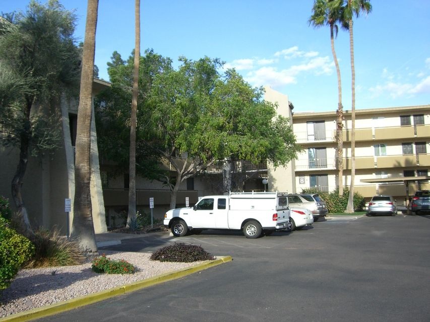 CIMG1100