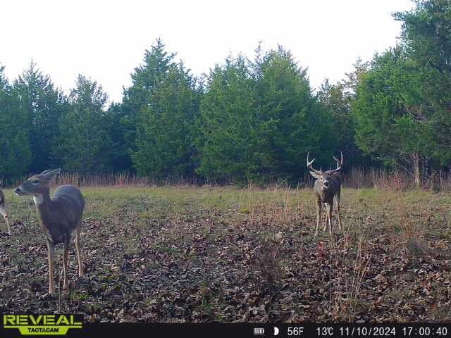 000 Highway M, Huggins, MO 65484 - photo 1