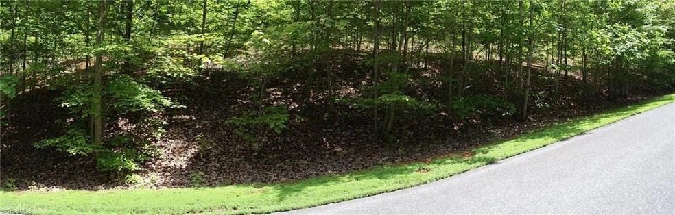 #3 Caraway Summit Trail, Sophia, NC 27350 - photo 1