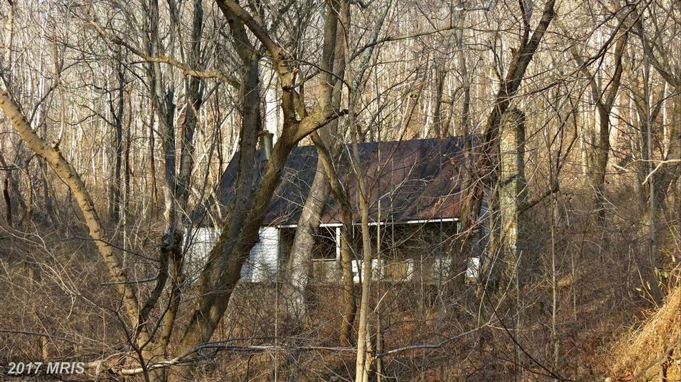 0 Piedmont unit 1002535310, Washington, VA 22747 - photo 1