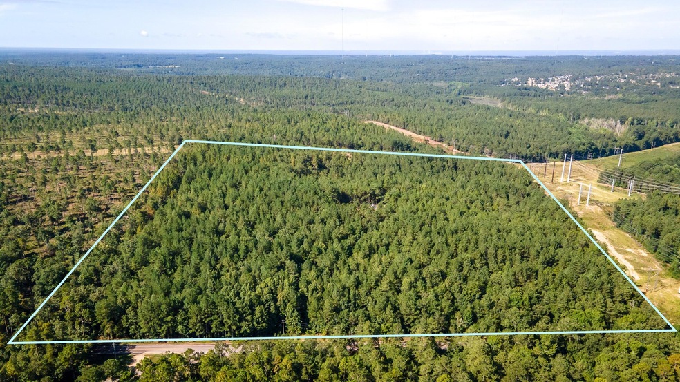 Storm Branch Leg - 32+ Acres