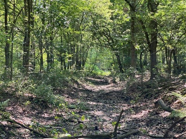 0 Poydras Plant Lot 10 unit 2532494, St. Bernard, LA 70085 - photo 1