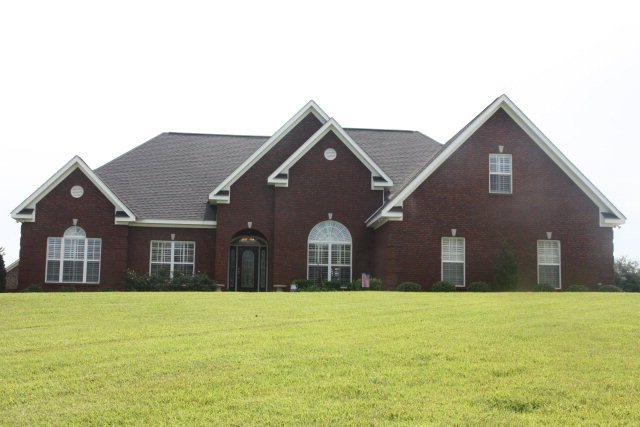 Main View