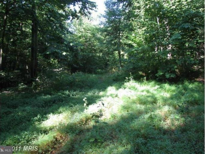 0 Mentzer Gap Rd unit 1000212487, Waynesboro, PA 17268 - photo 1