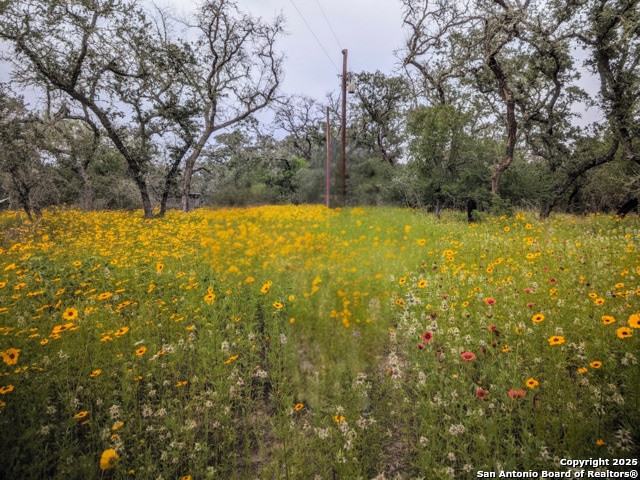 TBD County Road 6813, Natalia, TX 78059 - photo 1
