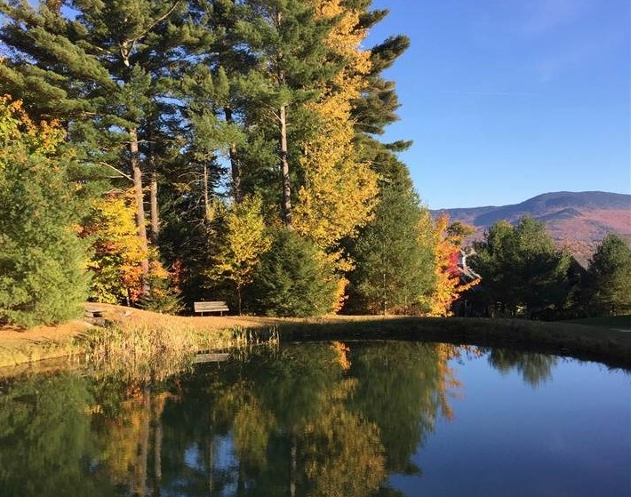 16 Kirkwood Ln, Stowe, VT 05672 - photo 1