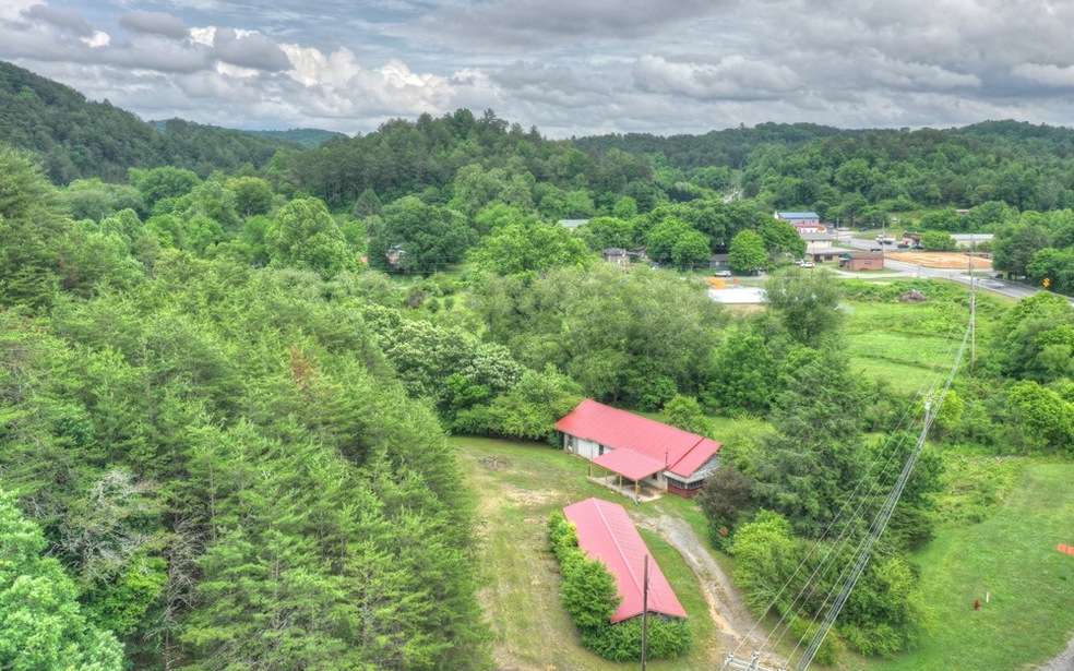 8341 Lakewood Hwy, Mineral Bluff, GA 30559 - photo 1