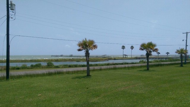 Main View