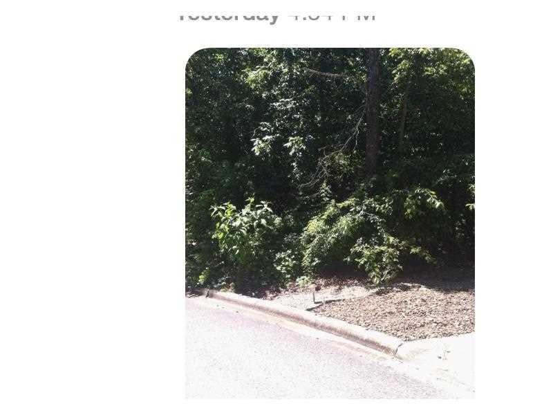 Exterior Front. curbed lot with beautiful homes 8in area