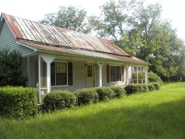 Main View