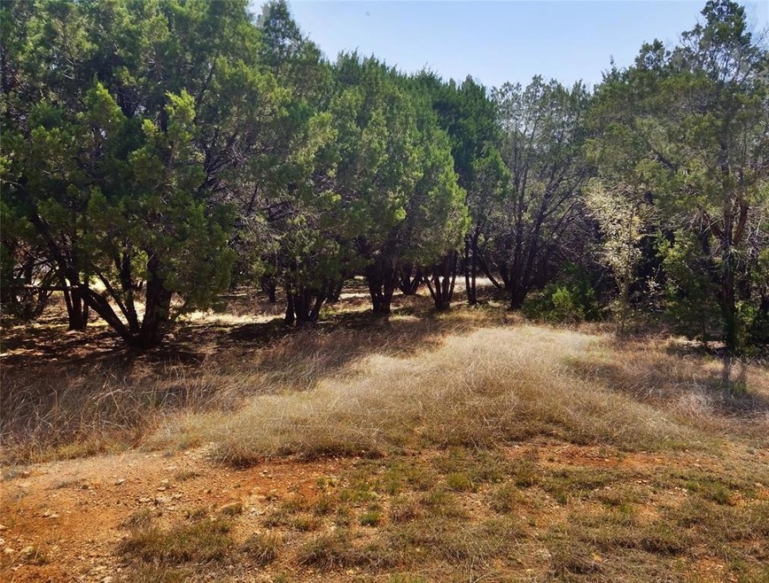 8121 Cedarcrest Dr, Whitney, TX 76692 - photo 1