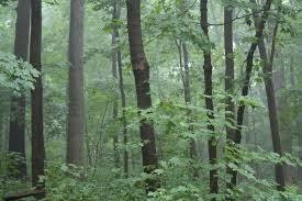 124 Dennett Rd, South Berwick, ME 03908 - photo 1