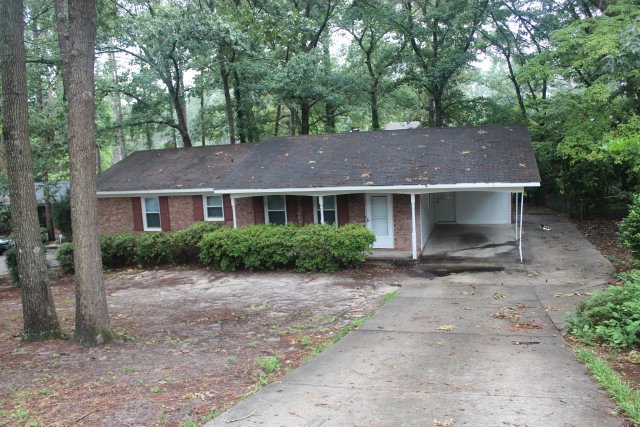 Main View