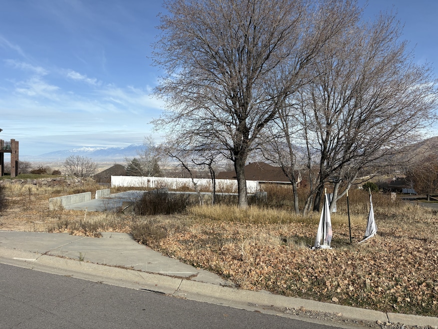 312 W Haleys Lookout, Payson, UT 84651 - photo 1