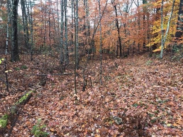 29 Chimera Hill Rd, Windham, ME 04062 - photo 1