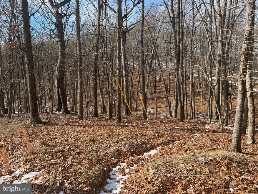 186 Crossings View Rd, Paw Paw, WV 25434 - photo 1