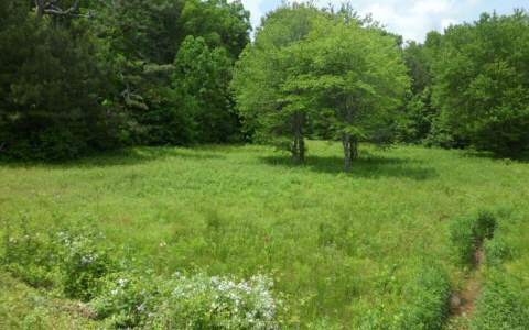 43,44 Crabapple Ln, Ellijay, GA 30540 - photo 1