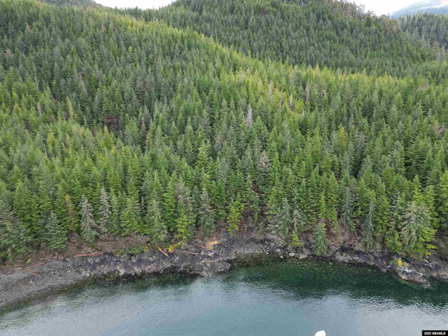 No Adress Legal Address Only unit Lot 4 Nakwasina Soun, Sitka, AK 99835 - photo 1