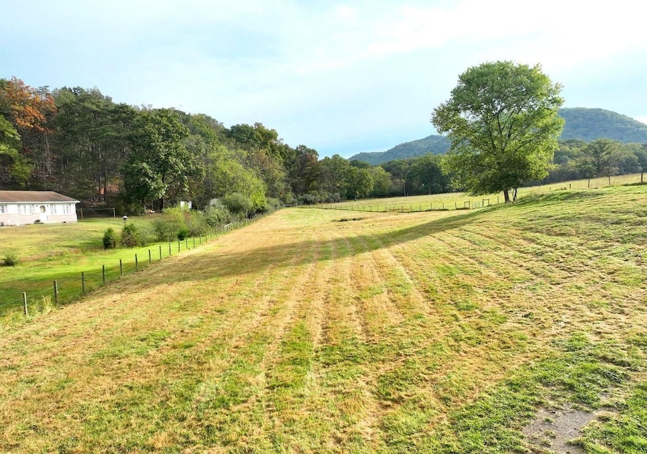 0 Hickory Hill Rd, Purgitsville, WV 26845 - photo 1