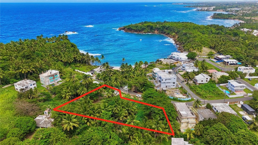 0 unit MFRPR9115883, Vega Alta, PR 00692 - photo 1