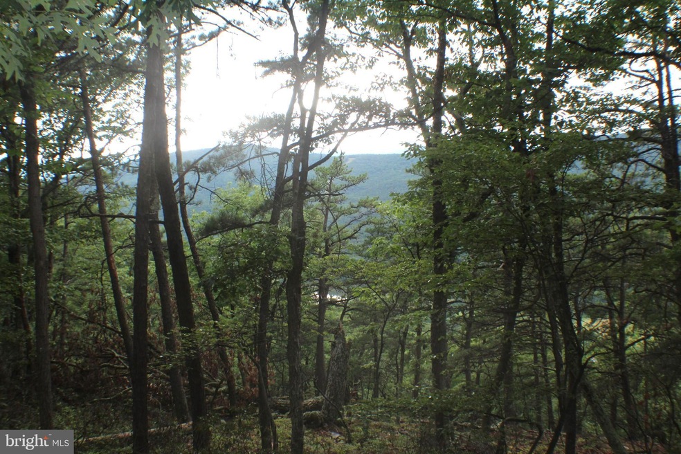 88.25 ACS Wilderness Way, Petersburg, WV 26847 - photo 1