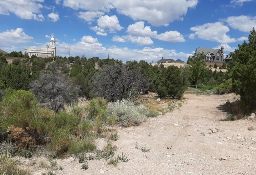 Lot #4