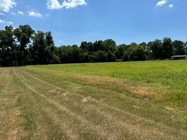 0 Haralson St unit 137599, Rebecca, GA 31783 - photo 1