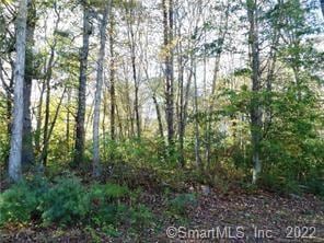 12 Kimmick Rd, Old Lyme, CT 06371 - photo 1