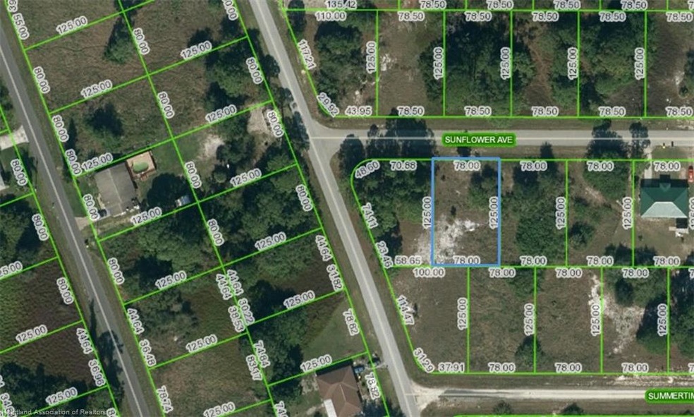 231 Sunflower Ave, Lake Placid, FL 33852 - photo 1