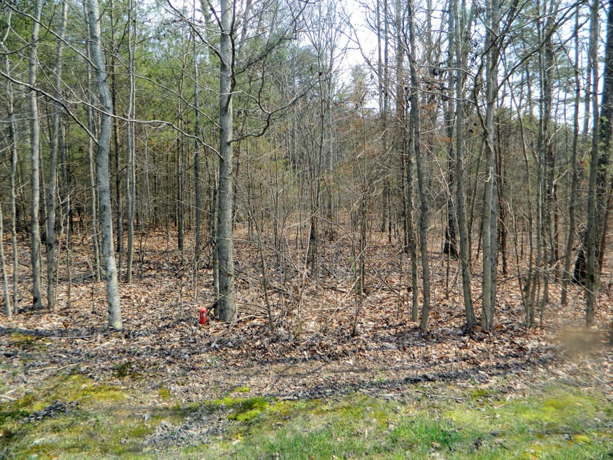 0 Stewart Ln unit 1261078, Rising Fawn, GA 30738 - photo 1