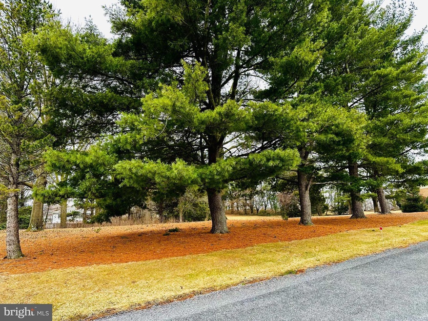 #13 Heckman Dr, Saint Thomas, PA 17252 - photo 1