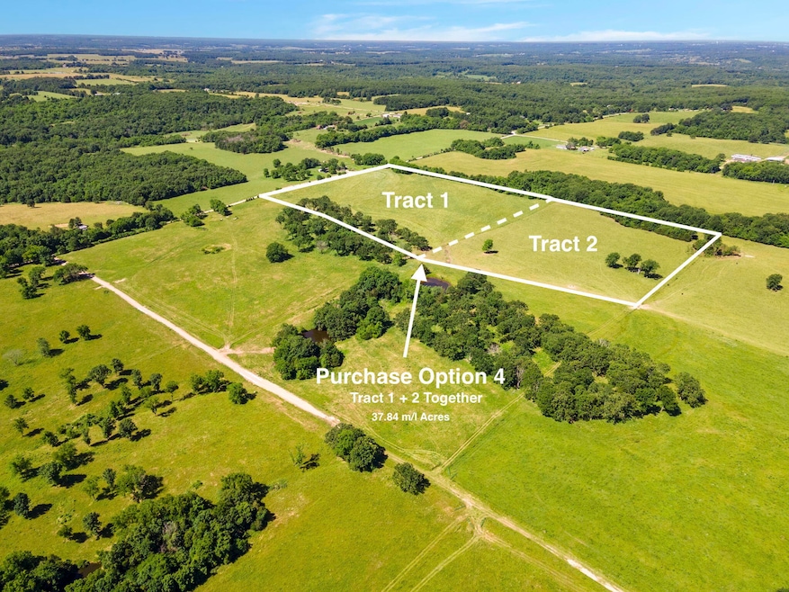 000 Factory Rd, Niangua Township, MO 65713 - photo 1