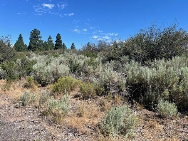 0 Wrightwood unit Lot 17 220206720, Chiloquin, OR 97624 - photo 1