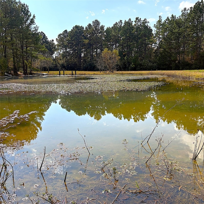 15031 Farm To Market Road 542, Oakwood, TX 75855 - photo 1