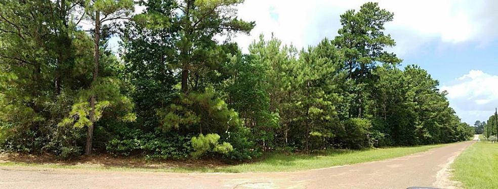 Beautiful 10 acres (2 separate 5 acre tracts) on Magnolia Pines near end of cul-de-sac