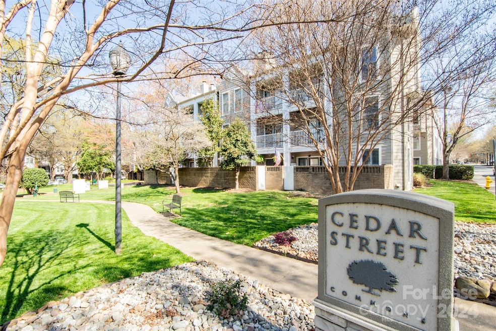 244 S Cedar St, Charlotte, NC 28202 - photo 1