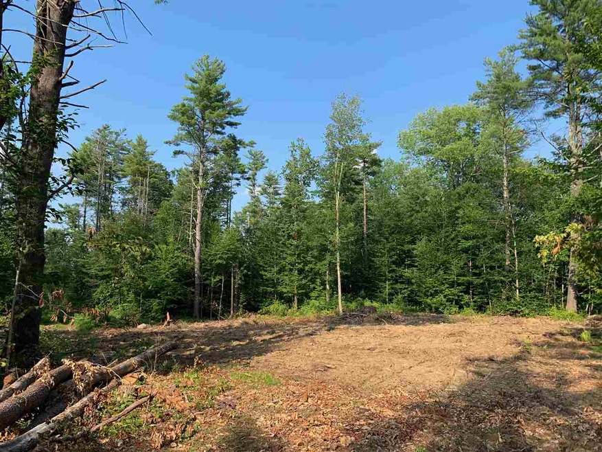 0 Franklin Pierce Hwy unit Map 126 Lot 61-1, Barrington, NH 03825 - photo 1