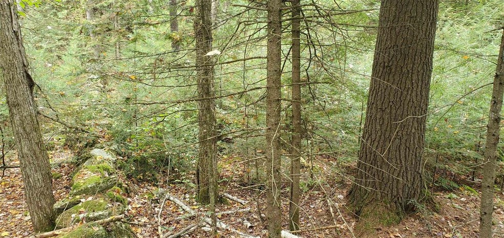 00 Hurd Hill Rd, Lyman, NH 03585 - photo 1