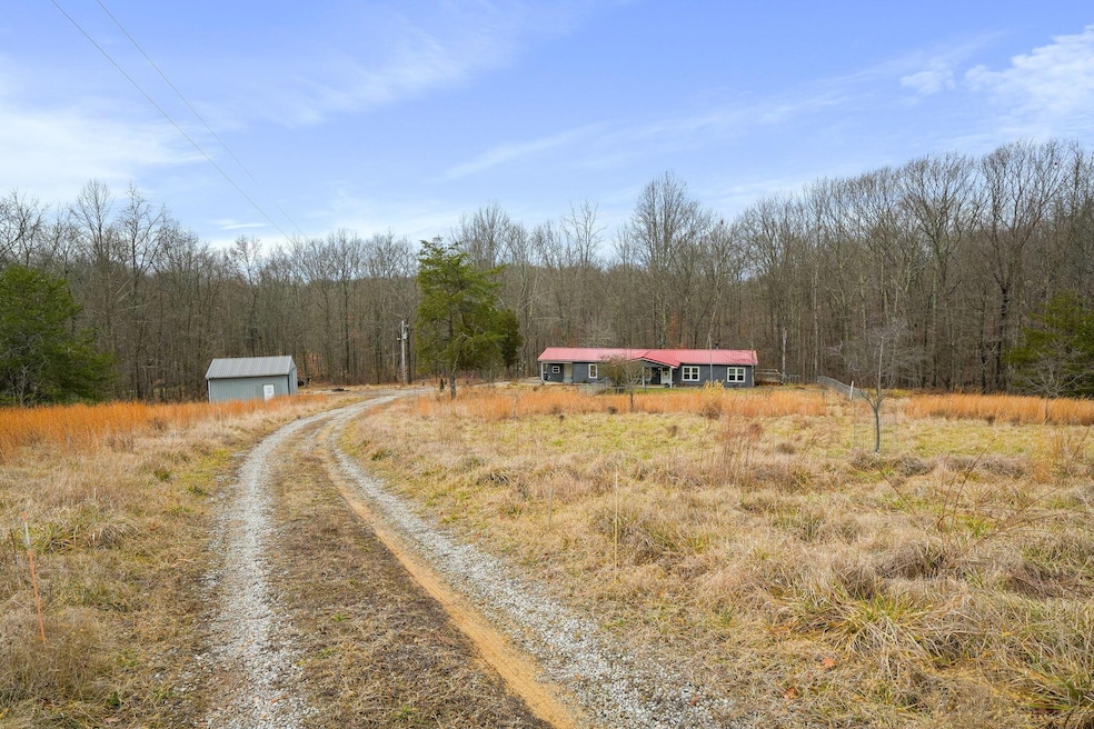 Front driveway and meadow